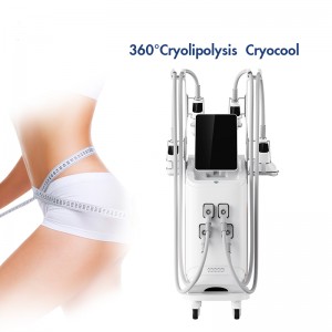 fast fat freezing cryolipolysis Slimming machine with 4  cryolipolysis handles