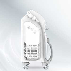 Factory Supply Laser Spider Vein Removal 980nm – Skin Rejuvenation Machines for Aesthetic Clinics And Spa – Sano