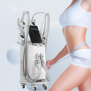 Sano cryolipolysis slimming machine The Best Cryolipolyse Machine / Cryolipolysis Slimming Machine