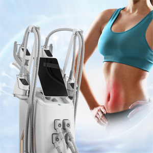 Sano cryolipolysis slimming machine The Best Cryolipolyse Machine / Cryolipolysis Slimming Machine