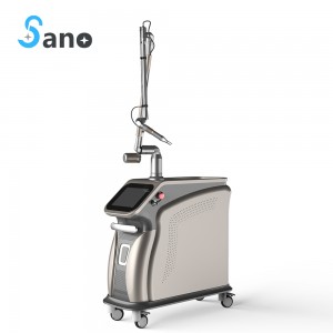 Chinese Professional Age Spot Removal -
 Laser Tattoo Removal Equipment – Sano