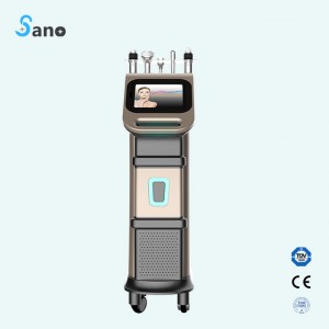 Professional China Portable Rf Machine -
 Pinxel-2 Microneedle RF & Fractional RF machine – Sano