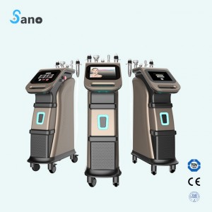 Factory For Co2 Fractional Laser – Pinxel-2 Microneedle RF & Fractional RF machine – Sano