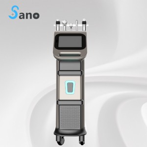 Special Design for Fractional Rf Beauty Machine -
 radio frequency Micro needle RF fractional rf machine – Sano