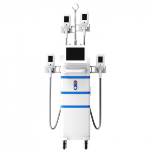 PriceList for Fat Burning Equipment -
 Sano cryolipolysis slimming machine The Best Cryolipolyse Machine / Cryolipolysis Slimming Machine – Sano