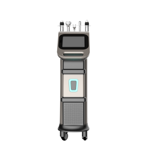 Manufactur standard Co2re Laser Treatment -
 Pinxel-2 Microneedle RF and Fractional RF machine – Sano