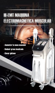 Cheap PriceList for Ems Sculpting Machine -
 Muscle Building and body shaping Machine – Sano