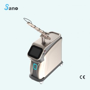 Factory making Pico Tattoo Removal Machine -
 2021 High Power HOT Selling Picosecond Laser Professional Multi-functional Ndyag Laser Beauty Equipment Tattoo Removal Machine – Sano