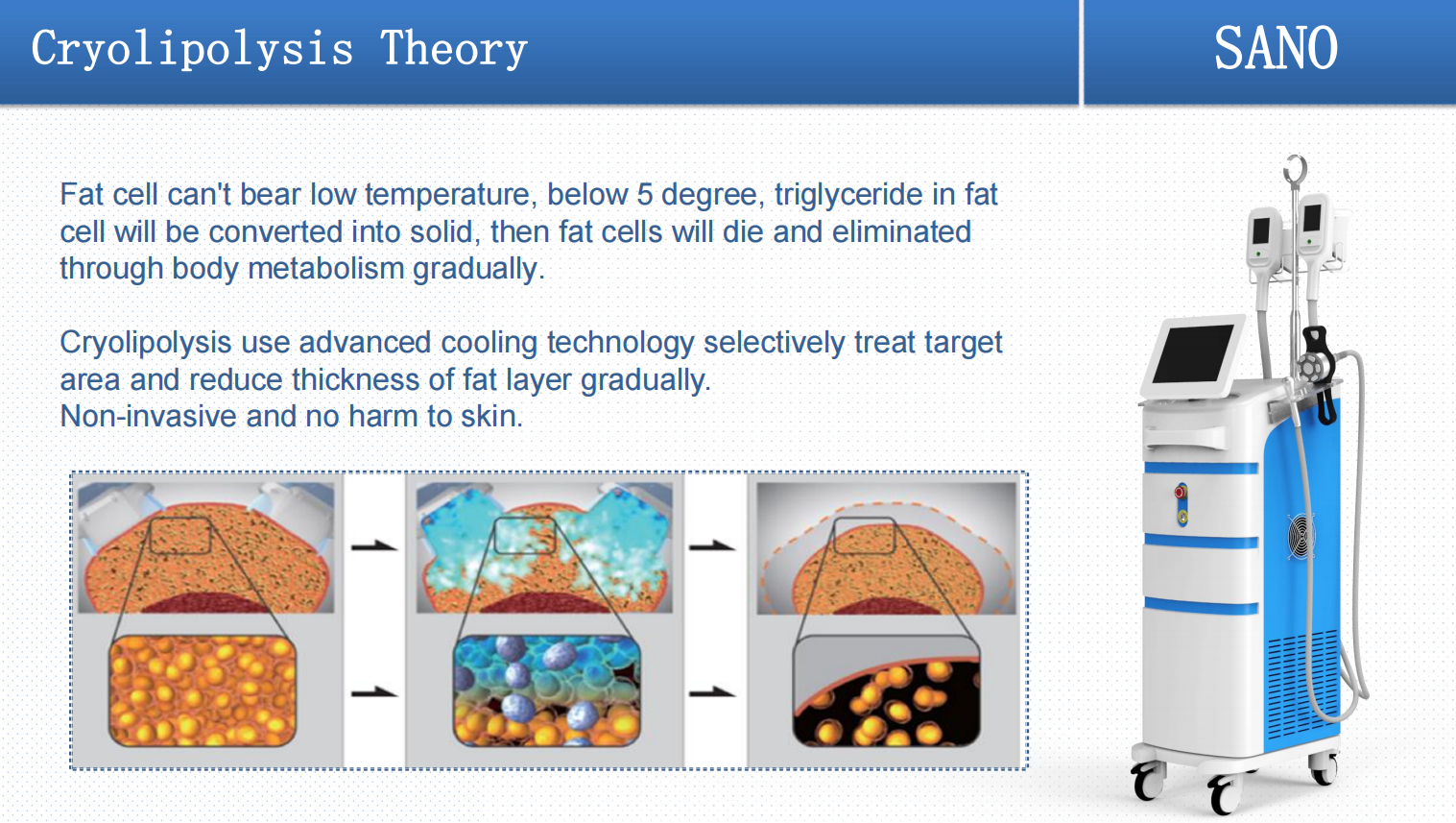 slimming fat reduction  (2)