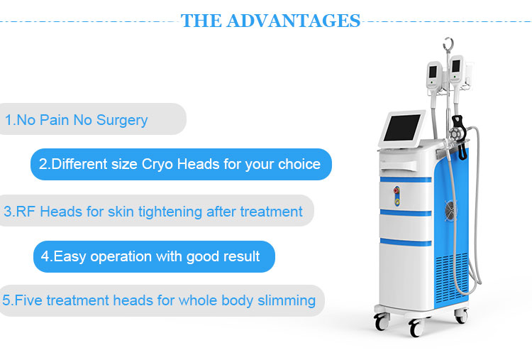 Online Exporter 40k Body Slimming Machine -
 Fat freezing body contouring slimming Cryolipolysis machine – Sano